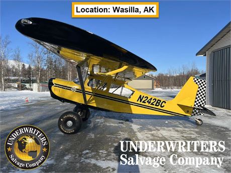 N242BC - 2011 American Champion 8GCBC Scout